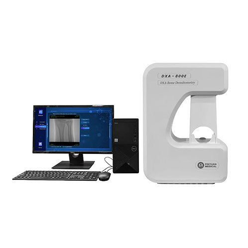 Dual-energy X-ray bone densitometerDXA 800E